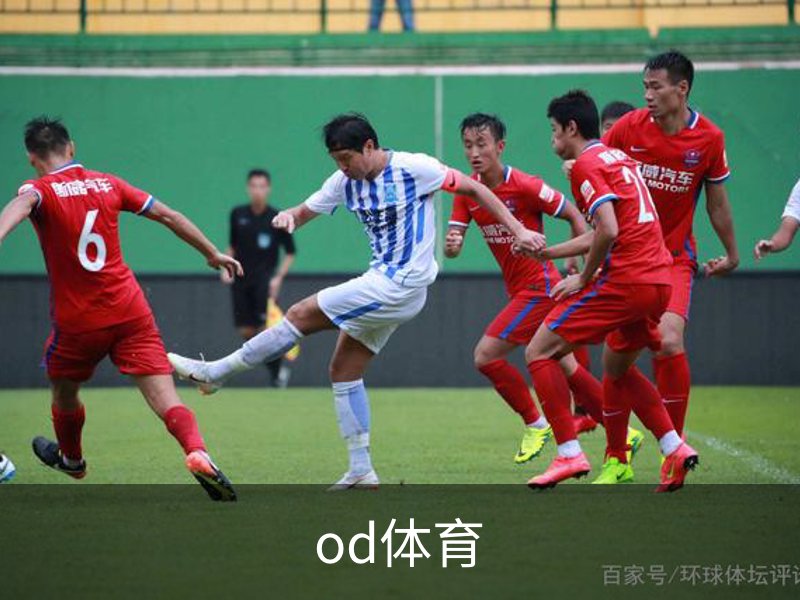 关于od体育